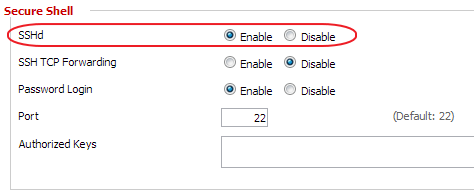 DD-WRT Services > Services > SSHd 