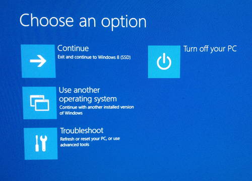 Advanced Boot Options - Choose an option