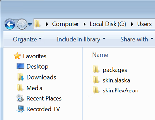 Plex skins folder