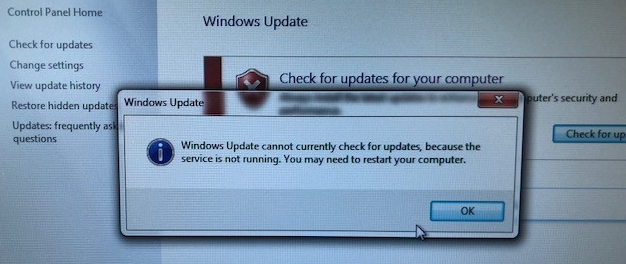 Windows update cannot currently check for updates