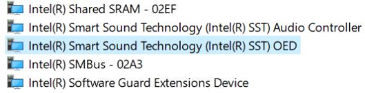 Intel Smart Sound Technology OED