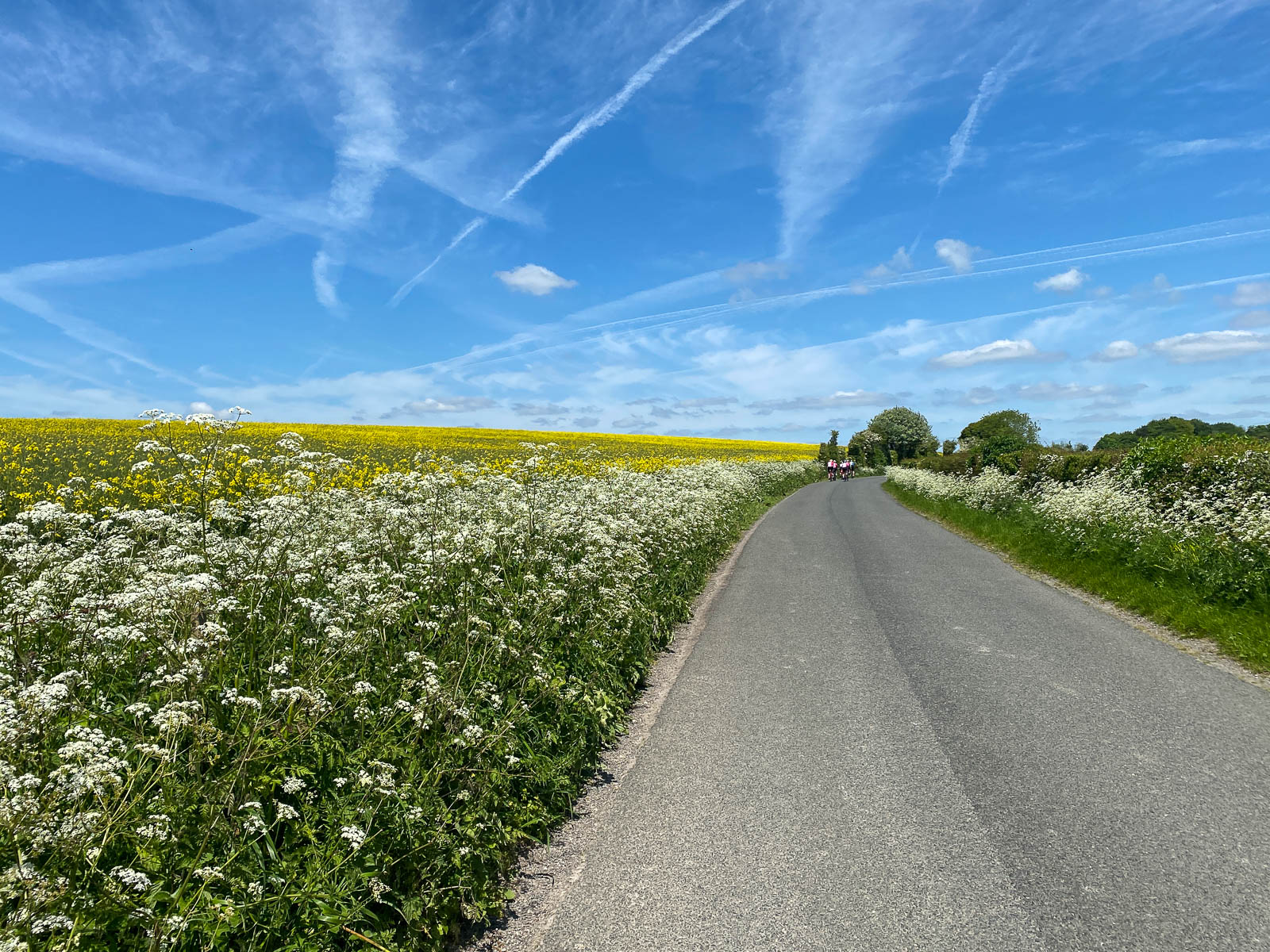 Little Lumpy Sportive